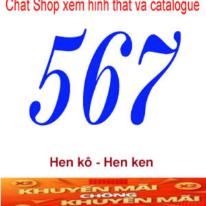 567-2