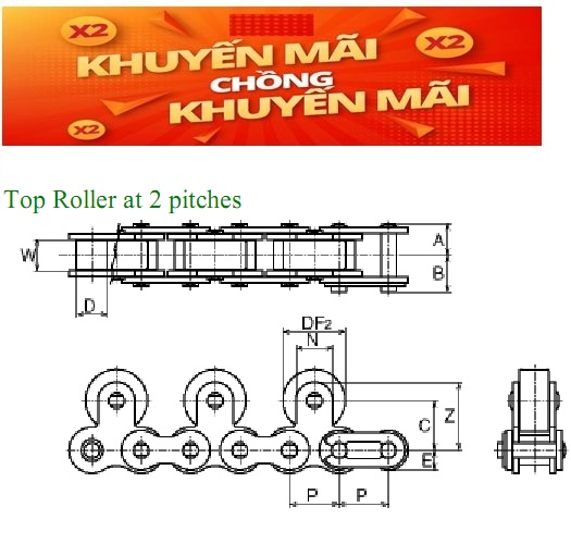 Top Roller Chain 2