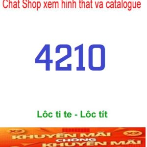 4210-1