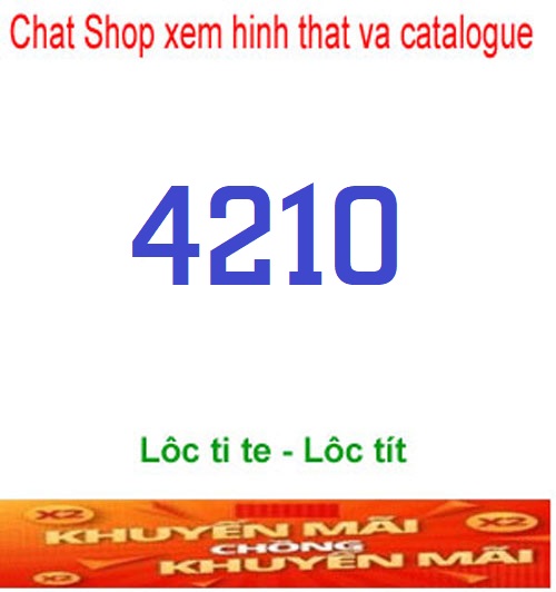 4210-1