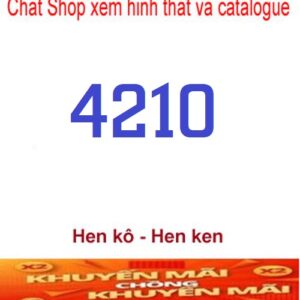 4210-2