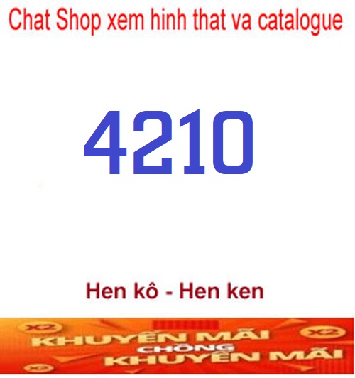 4210-2